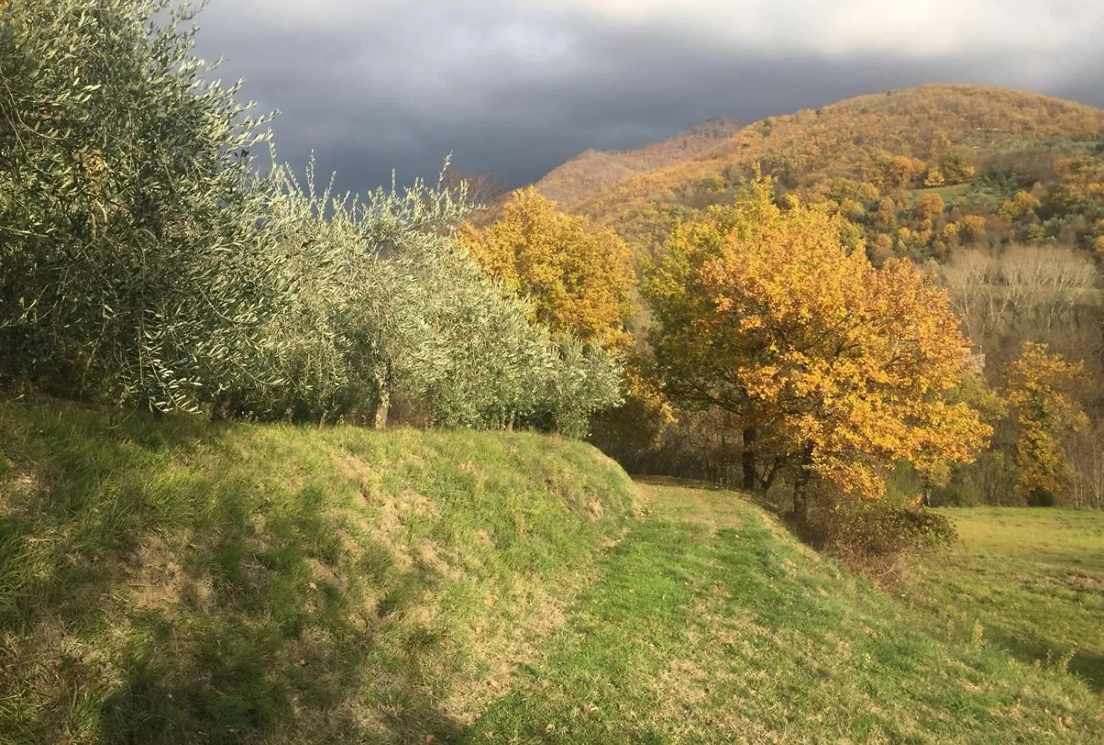 Semesterbostad Etrusca House Villa Gattaia