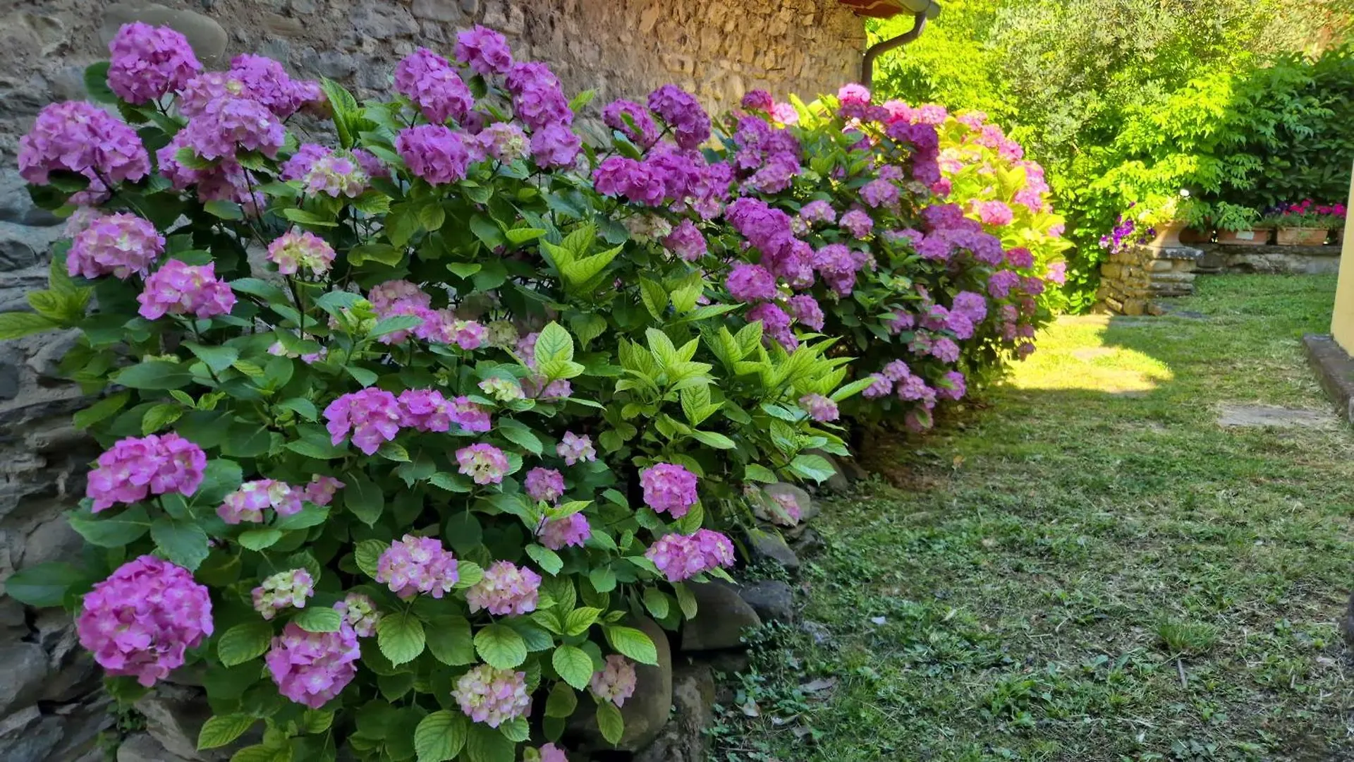Etrusca House Villa Gattaia